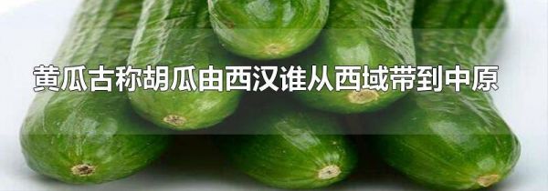 黄瓜古称胡瓜由西汉谁从西域带到中原