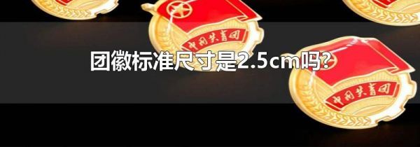 团徽标准尺寸是2.5cm吗?