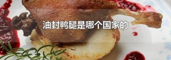油封鸭腿是哪个国家的