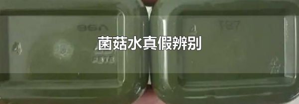 菌菇水真假辨别