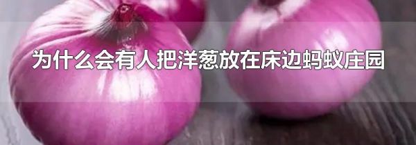 为什么会有人把洋葱放在床边蚂蚁庄园