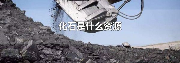 化石是什么资源