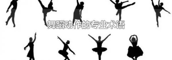 舞蹈动作的专业术语