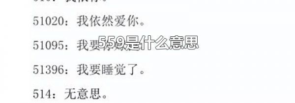 559是什么意思