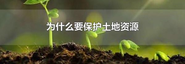 为什么要保护土地资源