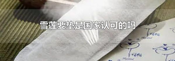 雪莲要垫是国家认可的吗