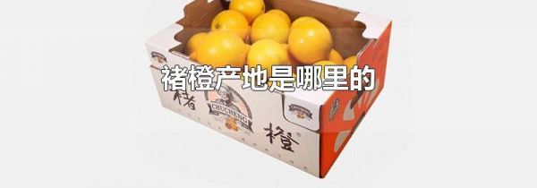 褚橙产地是哪里的