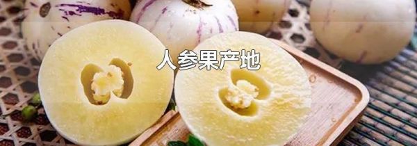人参果产地