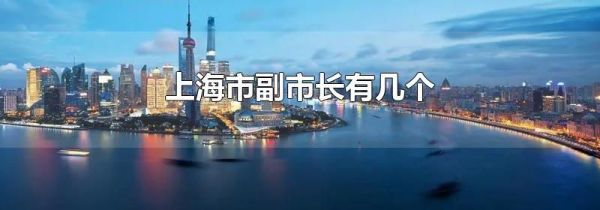 上海市副市长有几个