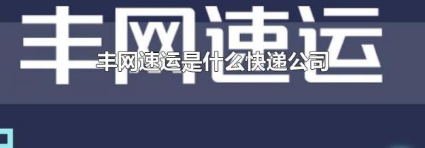 丰网速运是什么快递公司