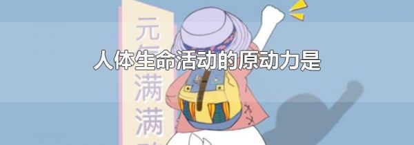 人体生命活动的原动力是