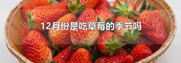 12月份是吃草莓的季节吗