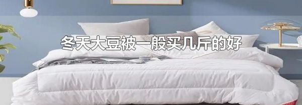 冬天大豆被一般买几斤的好