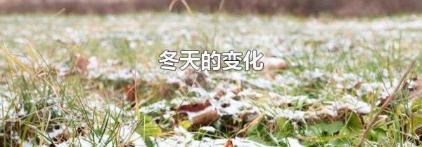 冬天的变化
