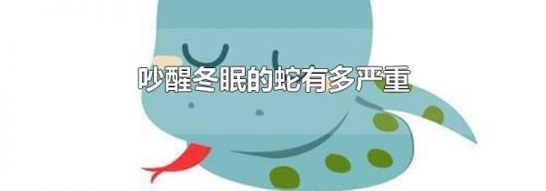 吵醒冬眠的蛇有多严重