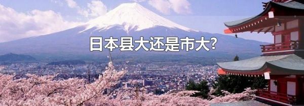 日本县大还是市大?