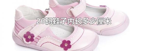 26码鞋子内长多少厘米