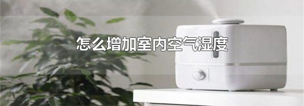 怎么增加室内空气湿度