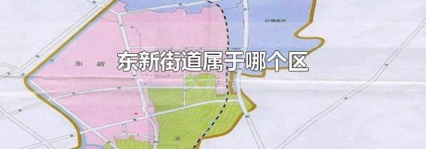 东新街道属于哪个区