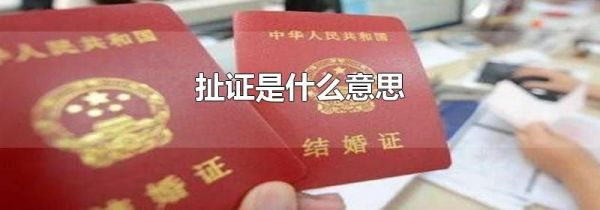扯证是什么意思