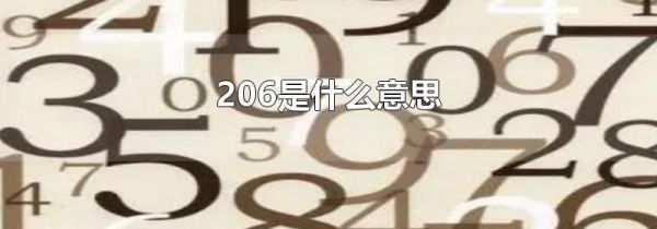206是什么意思
