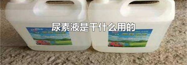 尿素液是干什么用的