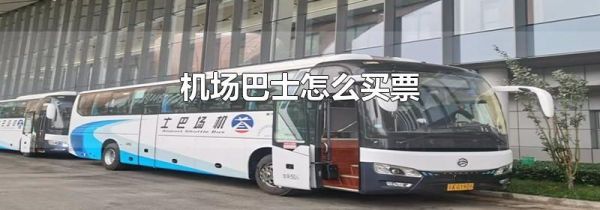 机场巴士怎么买票