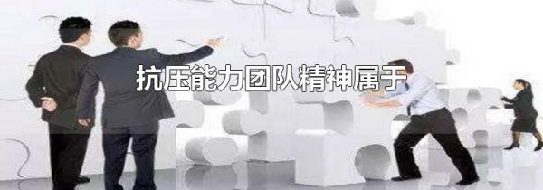 抗压能力团队精神属于