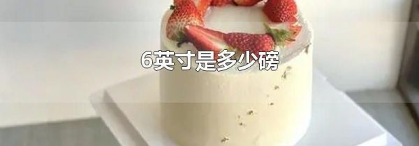 6英寸是多少磅