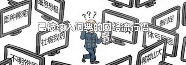 已被纳入词典的网络流行语