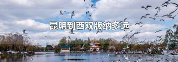 昆明到西双版纳多远