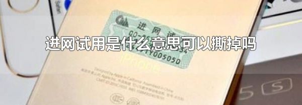 进网试用是什么意思可以撕掉吗
