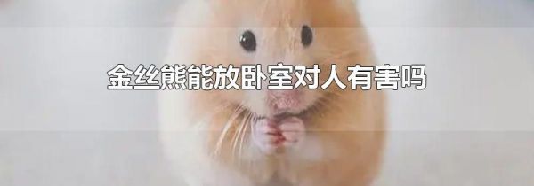 金丝熊能放卧室对人有害吗