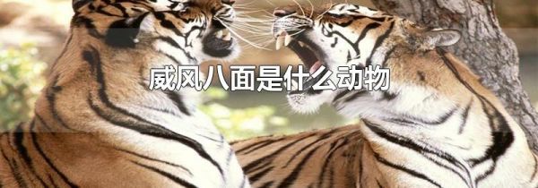 威风八面是什么动物