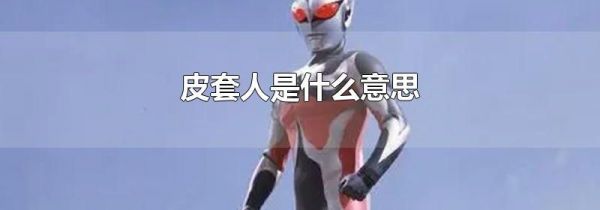 皮套人是什么意思