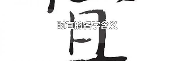 时宜的名字含义