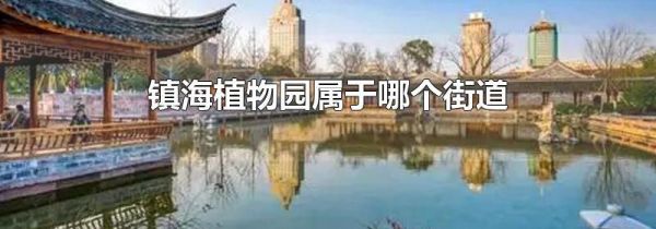 镇海植物园属于哪个街道