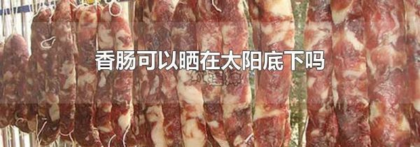 香肠可以晒在太阳底下吗