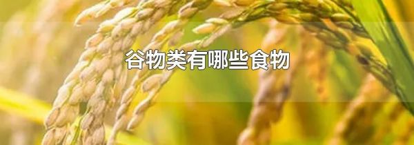 谷物类有哪些食物
