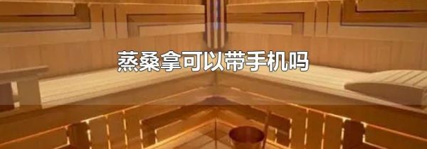 蒸桑拿可以带手机吗