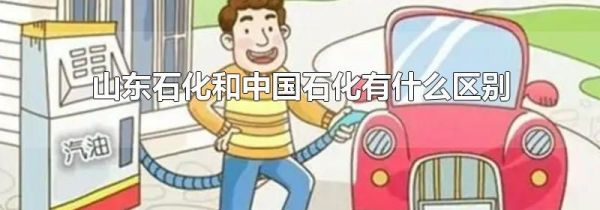 山东石化和中国石化有什么区别