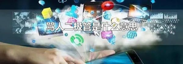 骂人二极管是什么意思