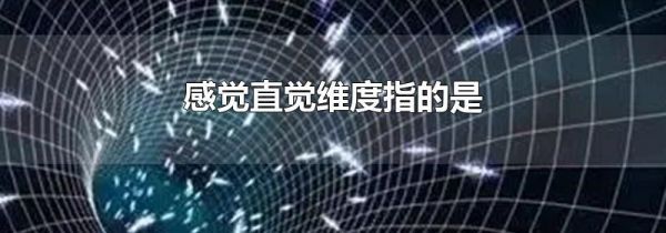 感觉直觉维度指的是