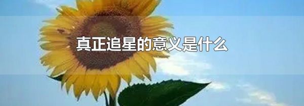 真正追星的意义是什么