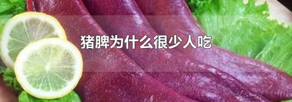 猪脾为什么很少人吃