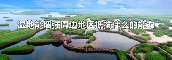 湿地能增强周边地区抵抗什么的能力