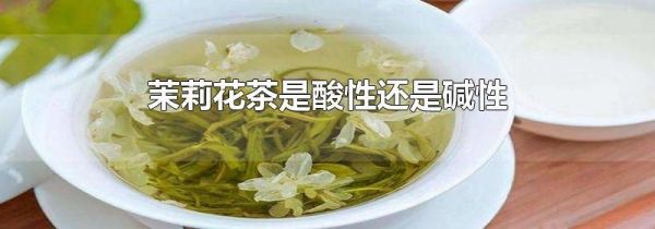茉莉花茶是酸性还是碱性