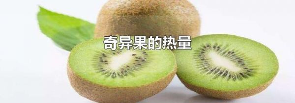 奇异果的热量