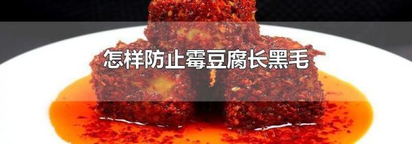 怎样防止霉豆腐长黑毛