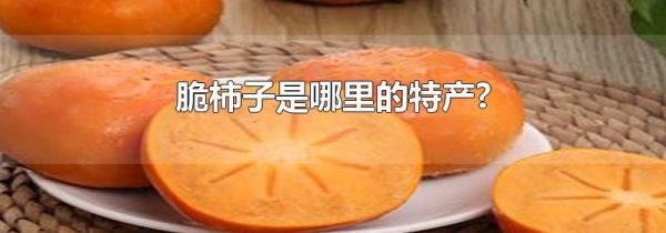 脆柿子是哪里的特产?
